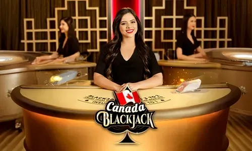 Live casino experience with real dealers